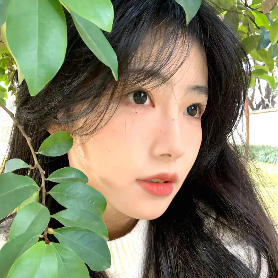 雾城